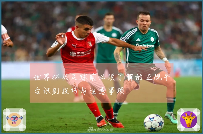 世界杯买足球前必须了解的正规平台识别技巧与注意事项