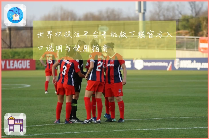 世界杯投注平台手机版下载官方入口说明与使用指南