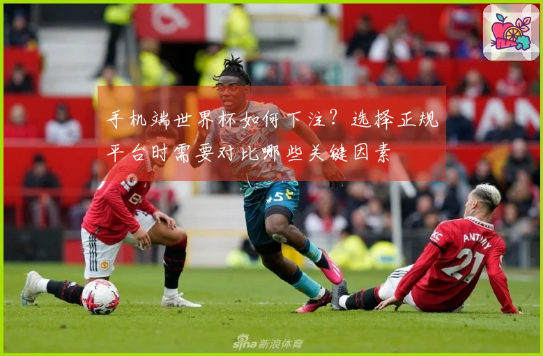 手机端世界杯如何下注？选择正规平台时需要对比哪些关键因素