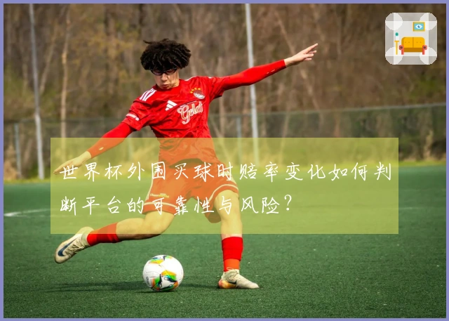 世界杯外围买球时赔率变化如何判断平台的可靠性与风险？