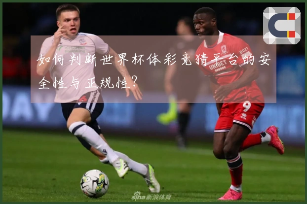如何判断世界杯体彩竞猜平台的安全性与正规性？