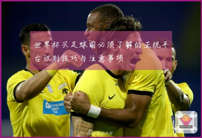 世界杯买足球前必须了解的正规平台识别技巧与注意事项