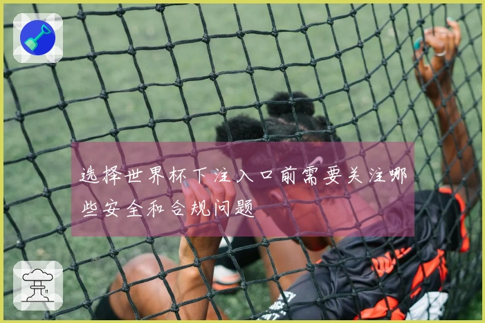 选择世界杯下注入口前需要关注哪些安全和合规问题