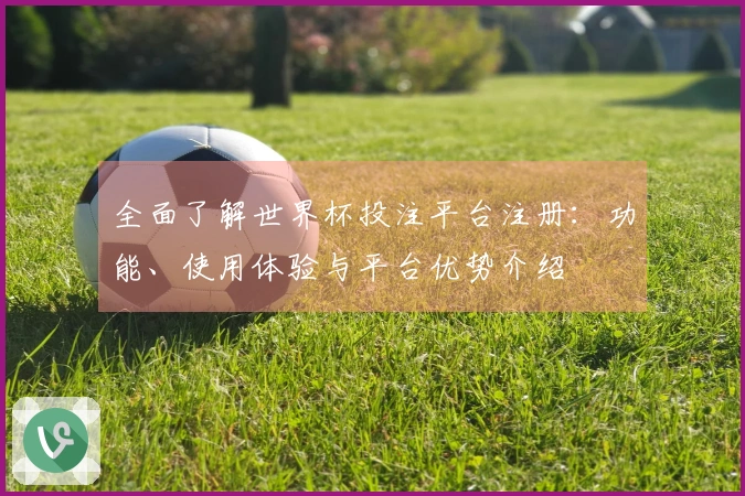 全面了解世界杯投注平台注册：功能、使用体验与平台优势介绍