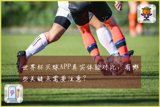 世界杯买球APP真实体验对比，有哪些关键点需要注意？