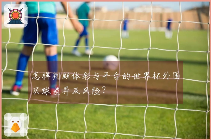 怎样判断体彩与平台的世界杯外围买球差异及风险？