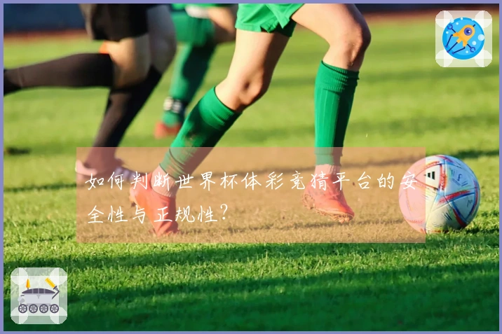 如何判断世界杯体彩竞猜平台的安全性与正规性？