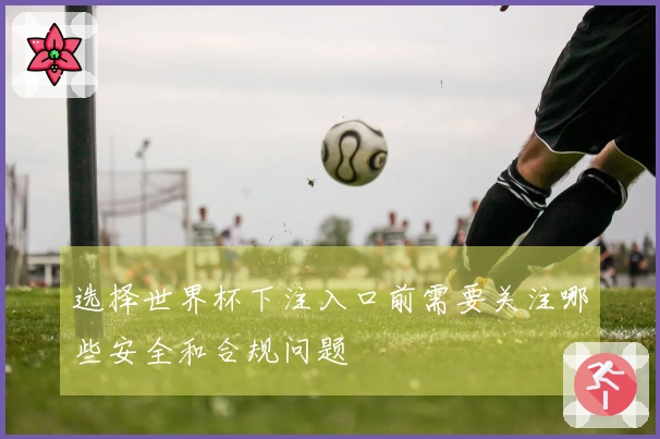 选择世界杯下注入口前需要关注哪些安全和合规问题
