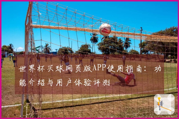 世界杯买球网页版APP使用指南：功能介绍与用户体验评测