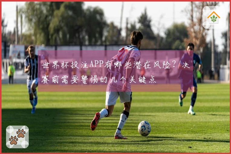 世界杯投注APP有哪些潜在风险？决赛前需要警惕的几个关键点