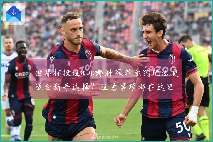 世界杯投注app哪种冠军竞猜玩法更适合新手选择？注意事项都在这里！