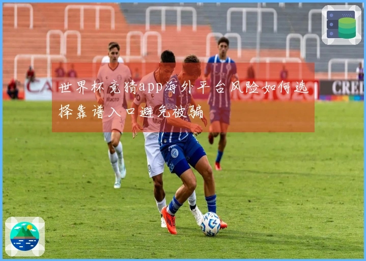 世界杯竞猜app海外平台风险如何选择靠谱入口避免被骗