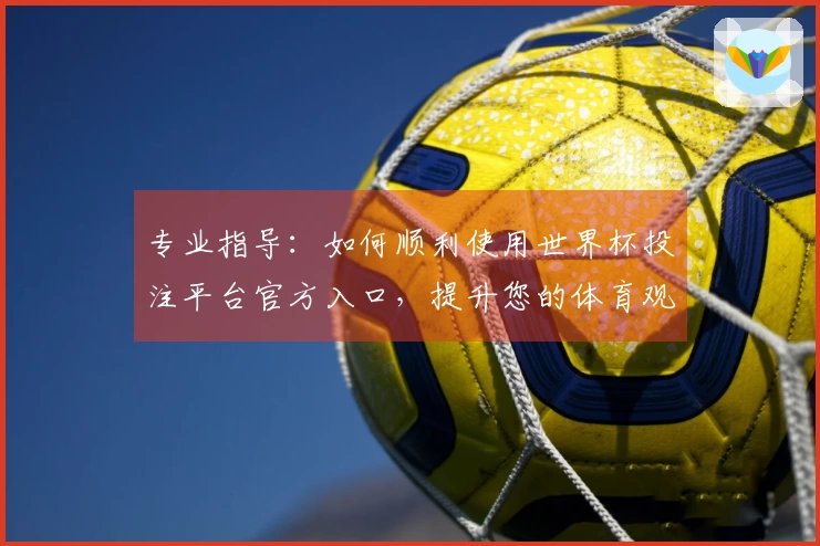 专业指导：如何顺利使用世界杯投注平台官方入口，提升您的体育观看体验