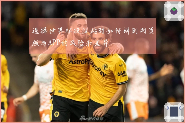 选择世界杯投注站时如何辨别网页版与APP的风险和差异
