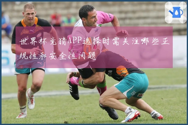 世界杯竞猜APP选择时需关注哪些正规性和安全性问题