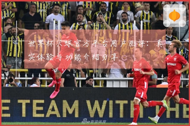 世界杯买球官方平台用户测评：真实体验与功能介绍分享