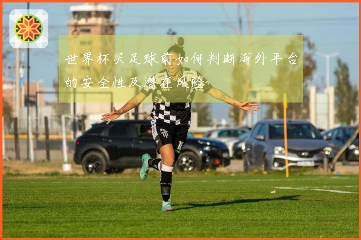 世界杯买足球前如何判断海外平台的安全性及潜在风险
