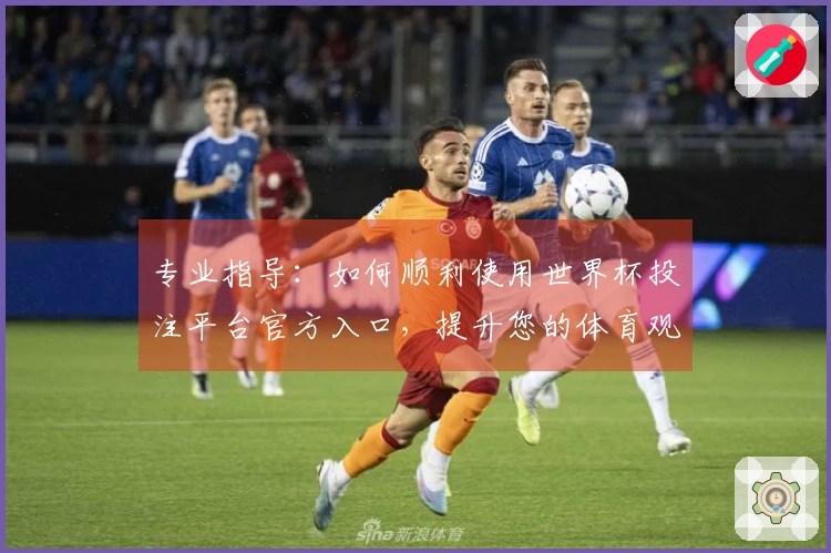 专业指导：如何顺利使用世界杯投注平台官方入口，提升您的体育观看体验