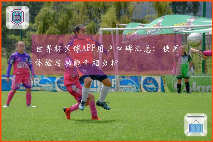 世界杯买球APP用户口碑汇总：使用体验与功能介绍分析