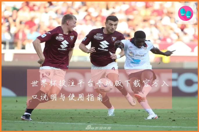 世界杯投注平台手机版下载官方入口说明与使用指南